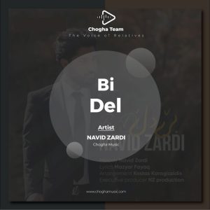 آهنگ بی دل از نوید زردی|چوقاموزیک